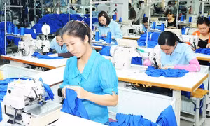 Businesses speed up from the start of the year 