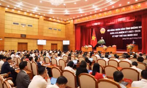 Quang Ninh sees positive economic growth