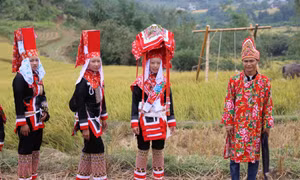  Ethnic costume show held on terraced fields