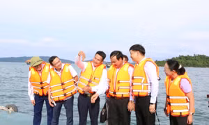 Co To’s first industrial-scale marine aquaculture project kicks off