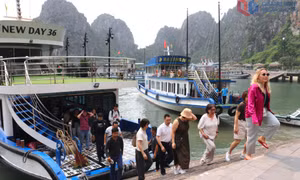 Promoting the value of the Ha Long Bay–Cat Ba Archipelago World Heritage Site