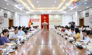 Proposal to establish Quang Ninh as a centrally governed city undergoes appraisal