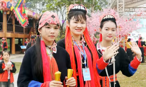 Brocade culture of the Dao Thanh Y people
