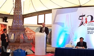 Activities to be held to mark 50 years of Vietnam-France diplomatic ties