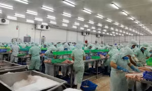 Most workers back at work after Tết holiday