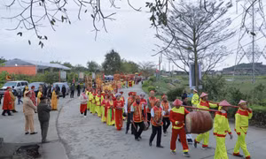 Tran Dynasty's Thai Mieu temple festival 2024 opens