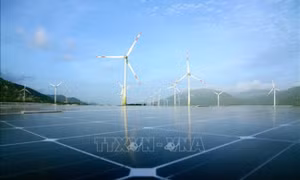 Set of criteria for green growth statistics to be applied from Dec. 15