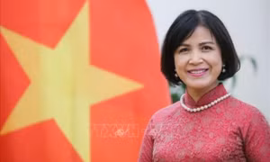 PM to highlight Việt Nam's ideas, commitments in sustainable development at WEF-54: Ambassador