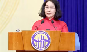Việt Nam puts all efforts into achieving economic goals this year