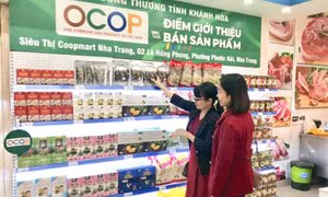 Over 12,000 OCOP products rated at least three stars nationwide