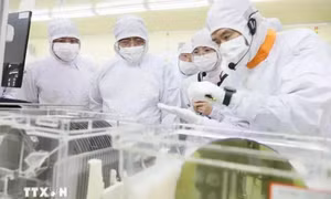 MIC promotes cooperation for AI, semiconductor development: official 