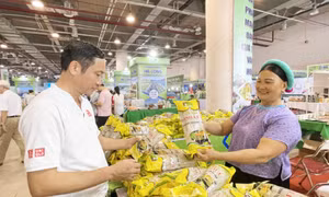 Summer OCOP Fair 2024 attracted over 56,000 visitors 
