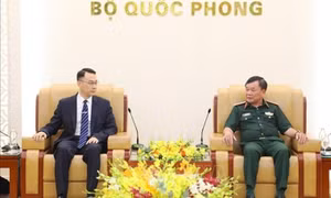 Vietnam - China land border cooperation strengthened: official