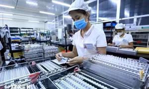 FDI flows strongly into manufacturing, real estate 