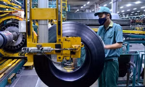 VEPR expects GDP growth this year to reach target