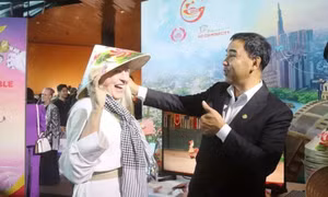 Cinema expected to help attract more international tourists 