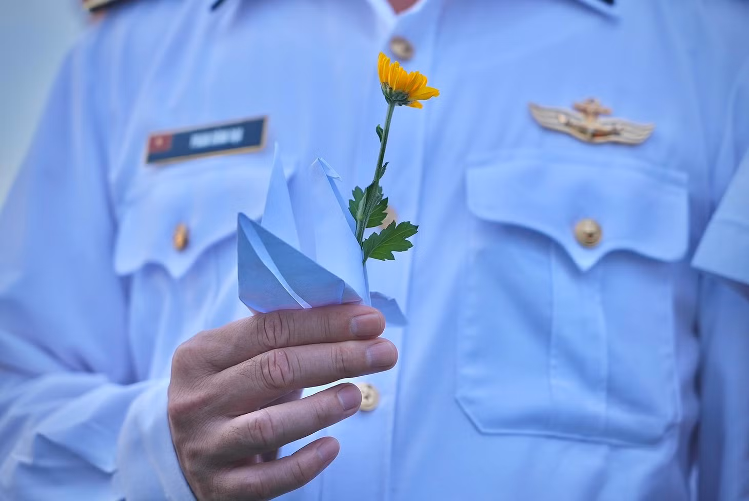 Yellow daisy flowers and paper cranes - symbols of peace - are offered to the spirits of heroes and fallen soldiers.