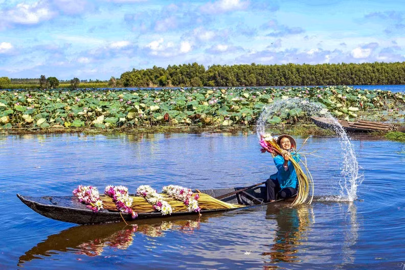 Roaming on a canoe down the vast fields or along the canals to pick water lilies has been a part of the idyllic daily life of the people for many generations.
