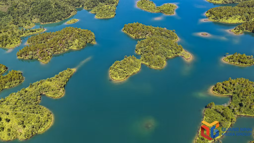 There are a range of lush plants and land islands with diverse shapes.