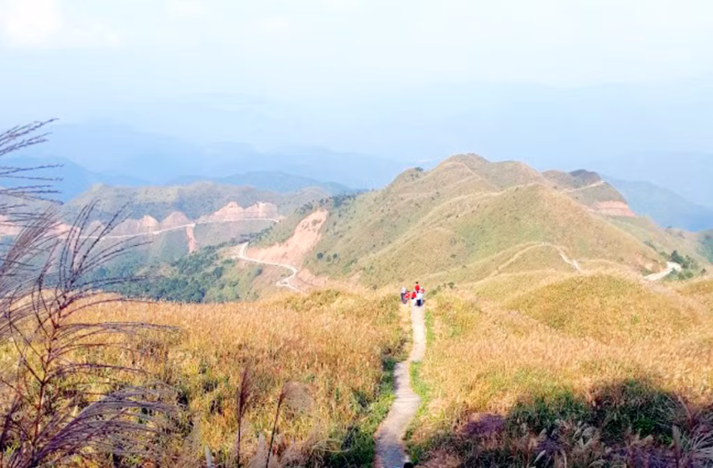 Every fall, the reed flower paradise in the west of Binh Lieu blooms again, beckoning tourists.