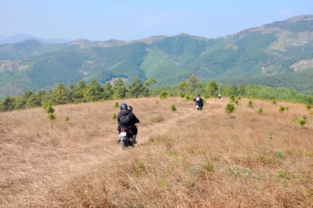 Phuong Hoang (Phoenix) Hill with grassy slopes as far as the eye can see has become a new tourist site in Quang Ninh province.