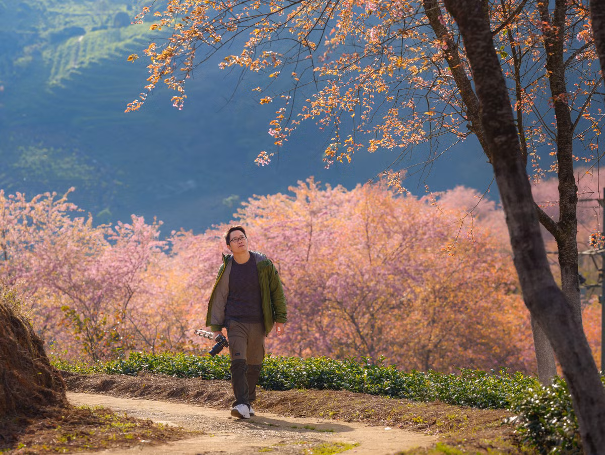 A photographer's journey to Sa Pa's cherry blossoms