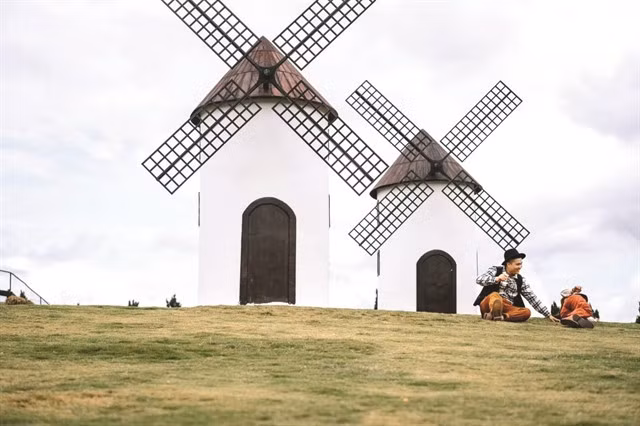 Immense grasslands at Mongo Land Dalat. Photo dalat.vn
