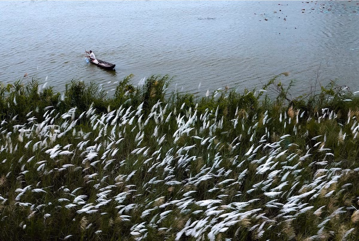 Mekong Delta province exudes charm amid annual flooding season