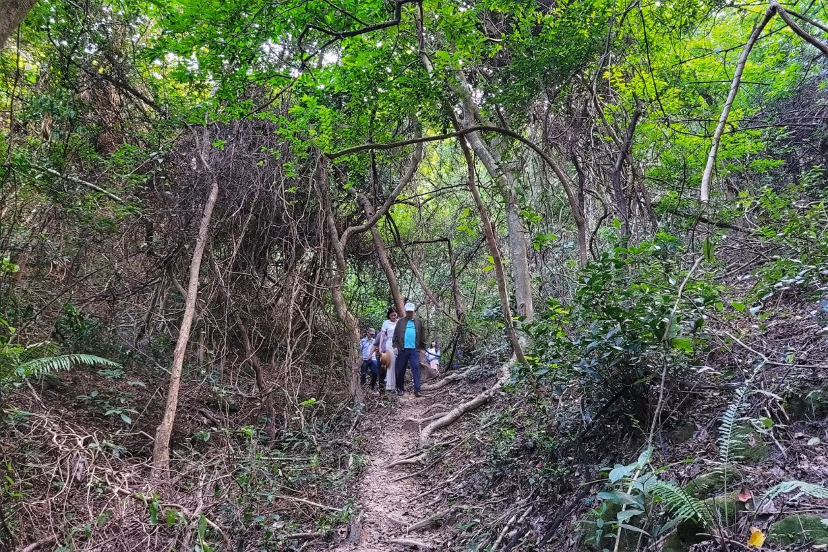 On the way to Hai Quan beach, you can visit Vung Tron beach. You will have to walk through a winding trail of nearly 400 meters through the forest to reach this beach.