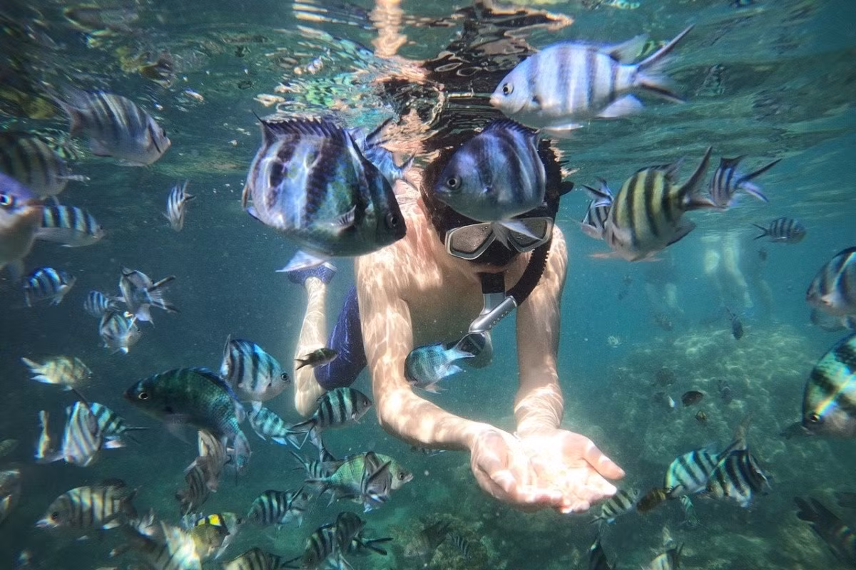 Scuba diving is a unique experience on Thanh Lan island.