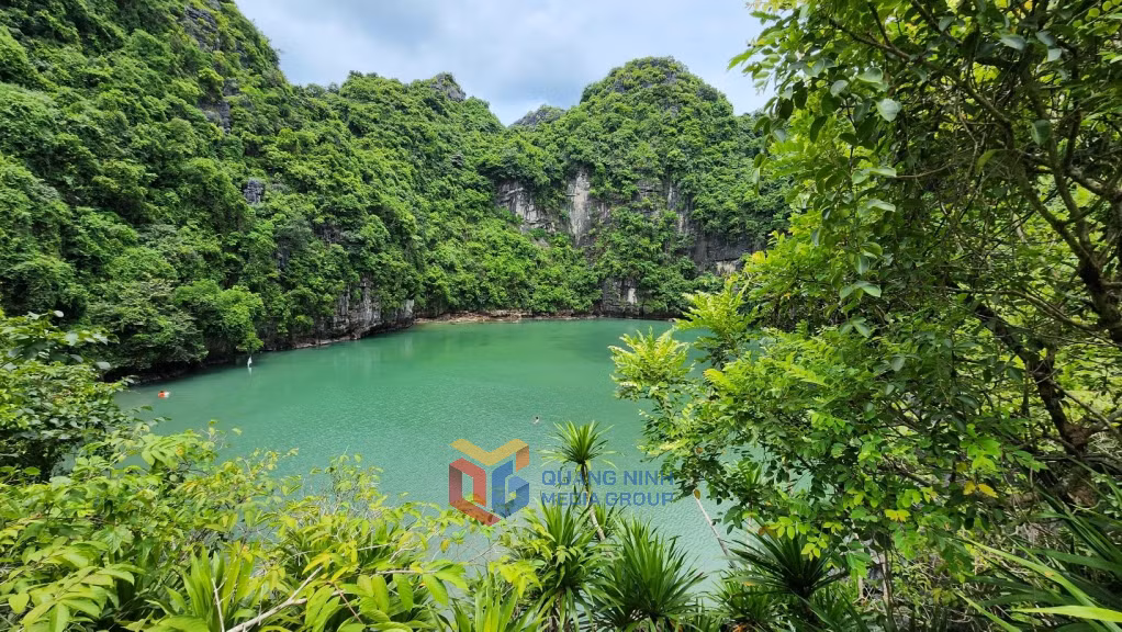 The scenery of Dau Be Lake resembles a vivid, enchanting painting of nature.