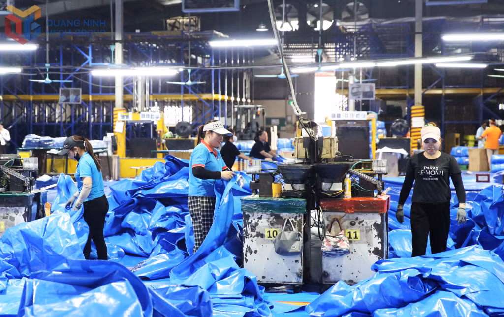 Production activities at Vina New Tarps Co., Ltd. (Cai Lan Industrial Park)