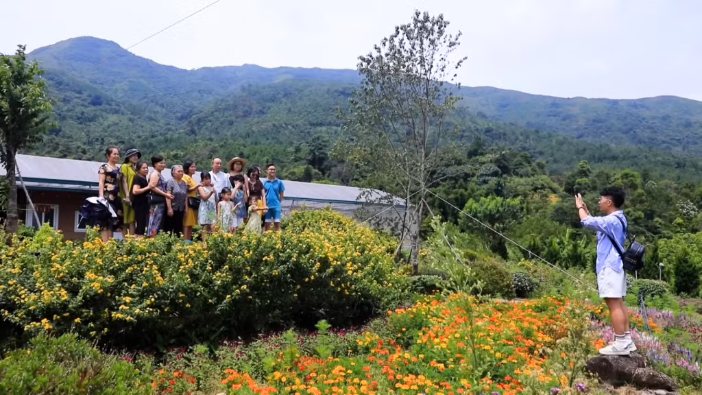 Tourists visit Binh Lieu flower tourist area.