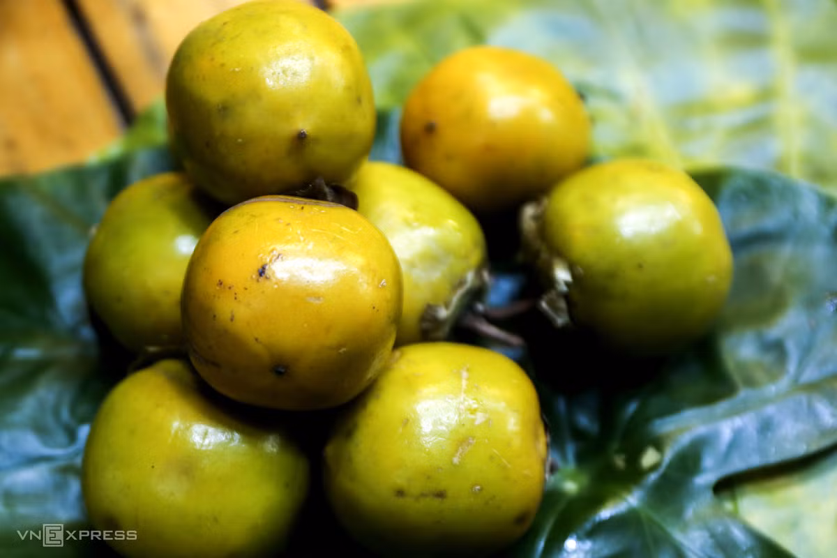 Signature autumn delicacies in Hanoi