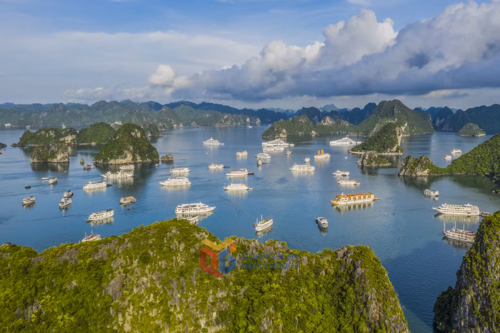 “World 7 Wonders Day” to take place in Ha Long Bay on July 7.