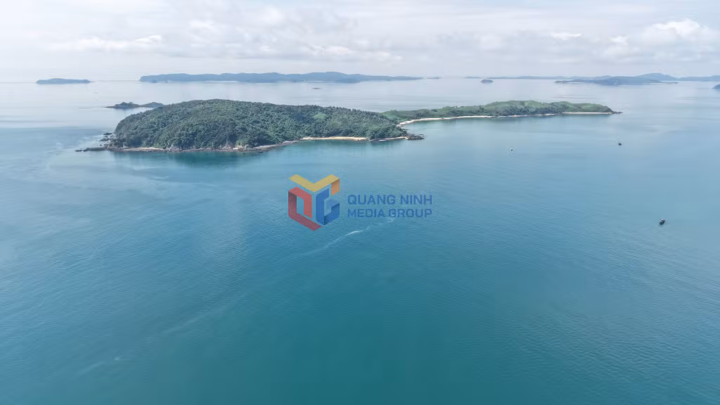 A concentrated aquaculture project in the Co To Special Zone.