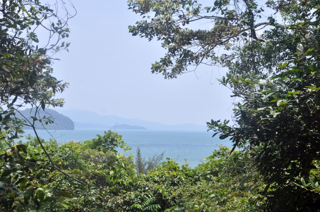 Alongside Bai Tu Long, Ba Mun island has become the most diverse and rich biosphere in Vietnam.