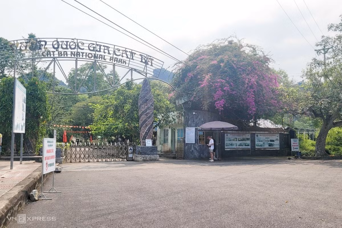 A day in the wild: trekking through Cat Ba National Park