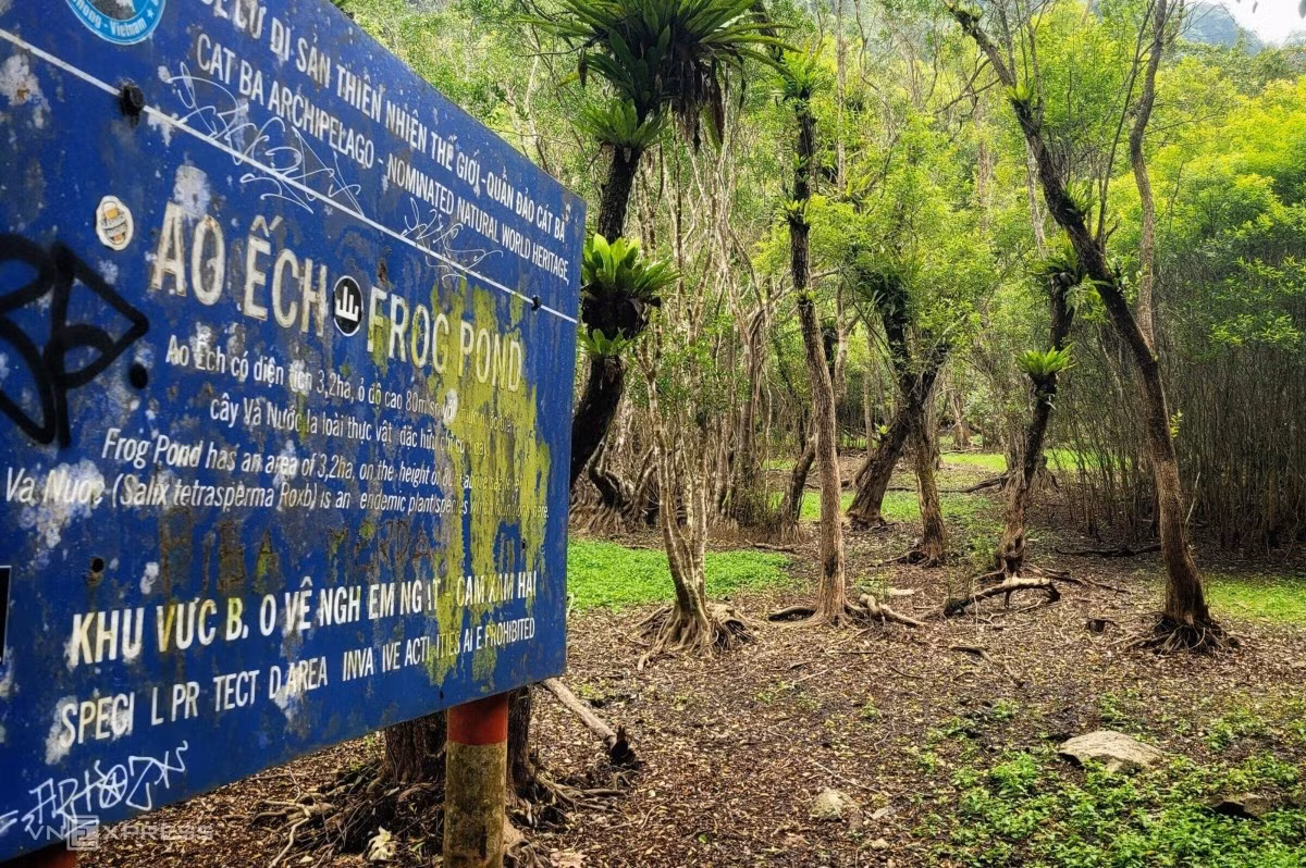 A day in the wild: trekking through Cat Ba National Park