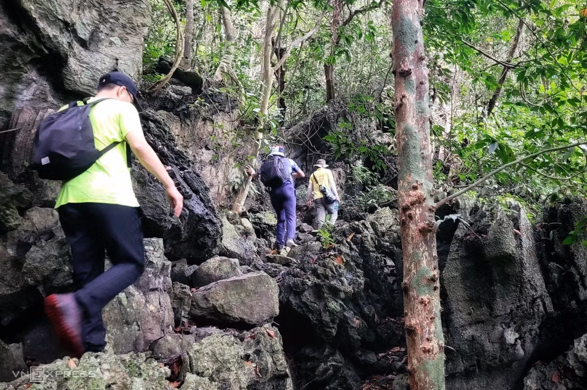 A day in the wild: trekking through Cat Ba National Park