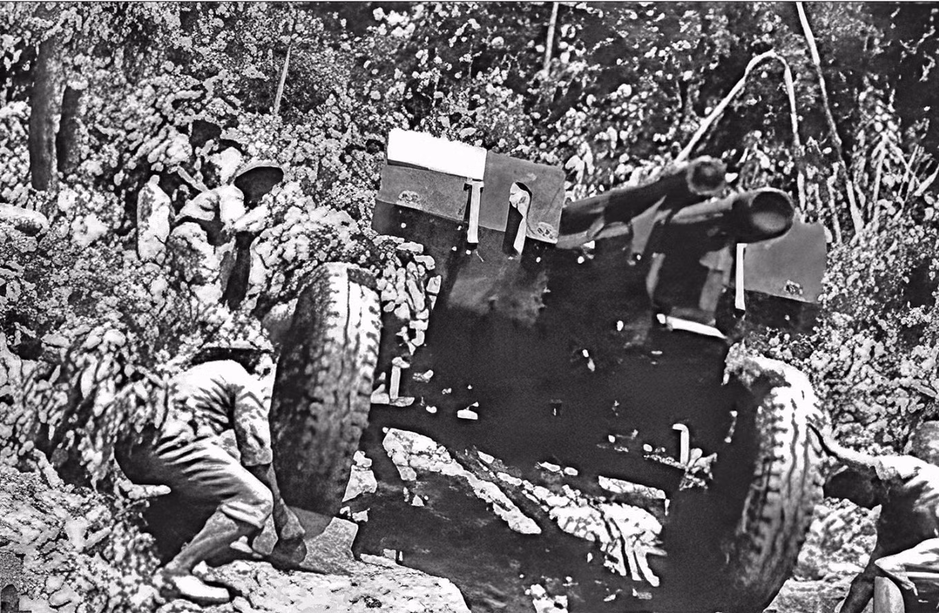 They carry artillery to the battlefield, most of the time through hills and mountains.