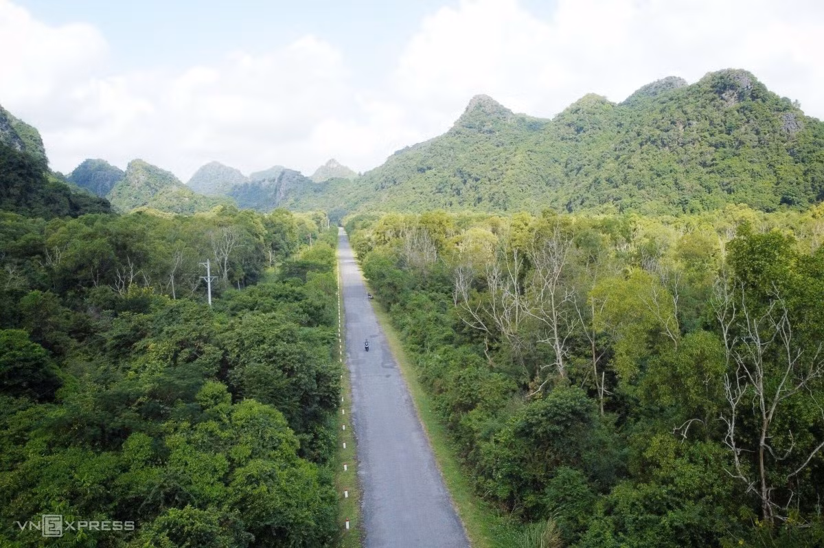 A day in the wild: trekking through Cat Ba National Park