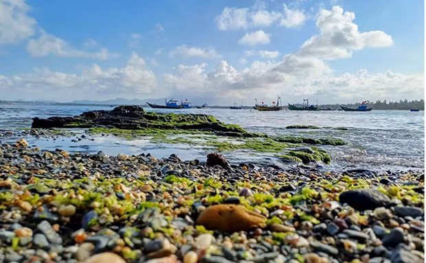 Tam Hai island commune is one of the high-biodiversity areas in Quang Nam province. (Photo: nhandan.vn)
