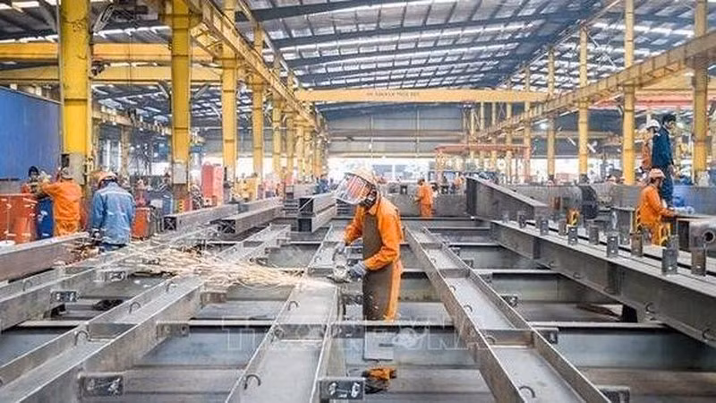 The index of industrial production (IIP) increased 15.6% year on year in August and 9.4% in the first eight months of 2022. (Photo: VNA)