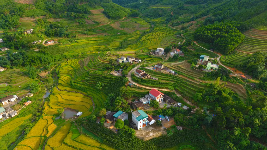 San Chi people live close to wonderful golden terraced fields.