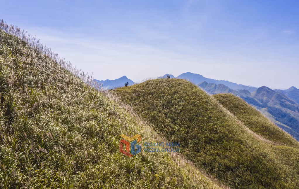 Bản giao hưởng của núi đồi và cỏ lau – Thiên nhiên Bình Liêu hòa tấu bản nhạc của gió, nắng và sắc trắng tinh khôi.