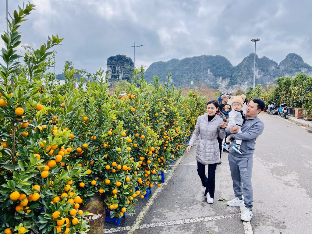Đi chợ hoa xuân dần trở thành một nét văn hoá của người dân thành phố Hạ Long mỗi độ xuân về. Những ngày này Hội hoa xuân thu hút nhiều người dân tới thăm quan, chọn mua.