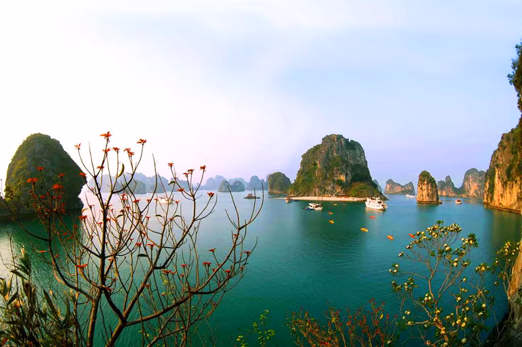 A corner of Ha Long Bay