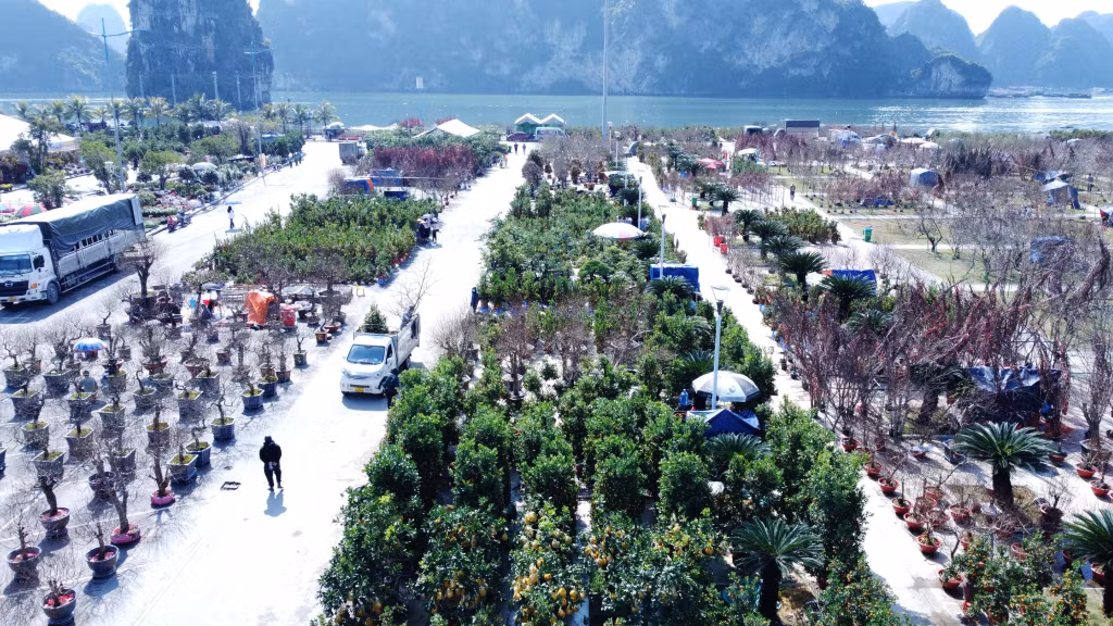 The fair is held at the Square of October 30