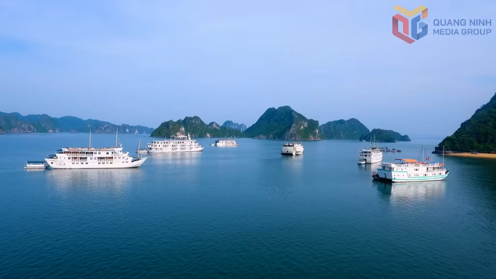 Sightseeing and overnight cruises on Ha Long Bay remain key tourism products, continuing to attract international visitors.
